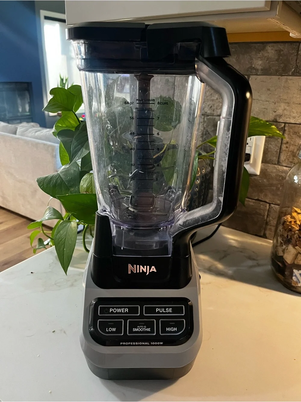 Ninja Blender